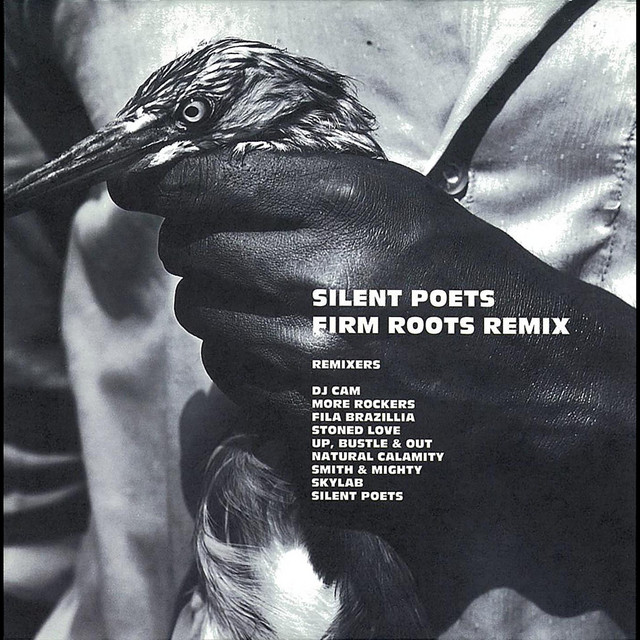 FIRM ROOTS REMIX album cover