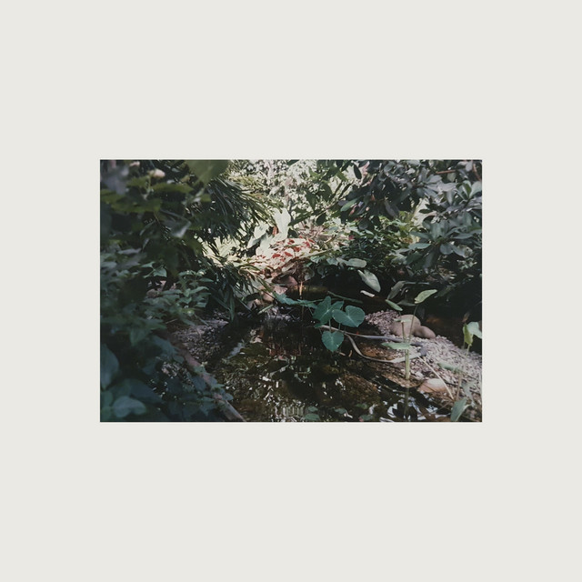 Tea for Two album cover