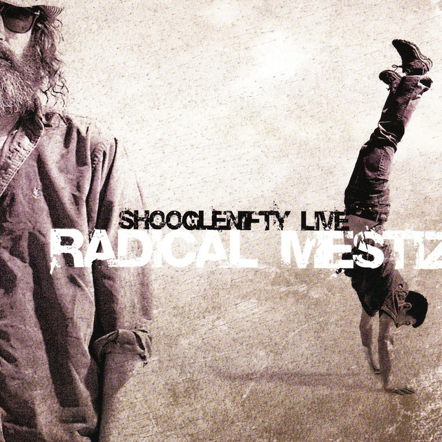 Radical Mestizo album cover