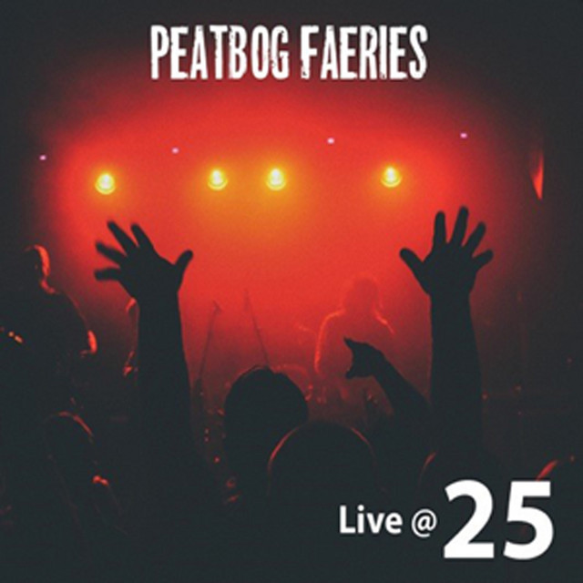 Live @ 25 album cover