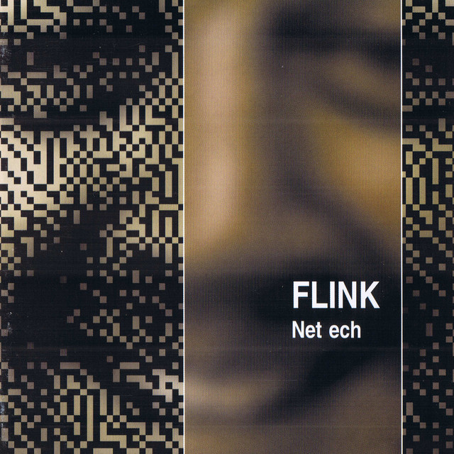 Net Ech album cover