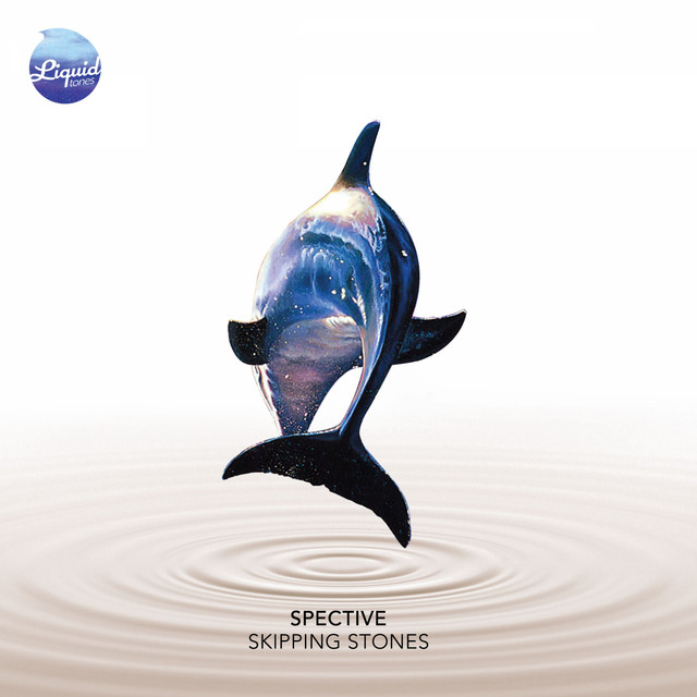 Skipping Stones album cover