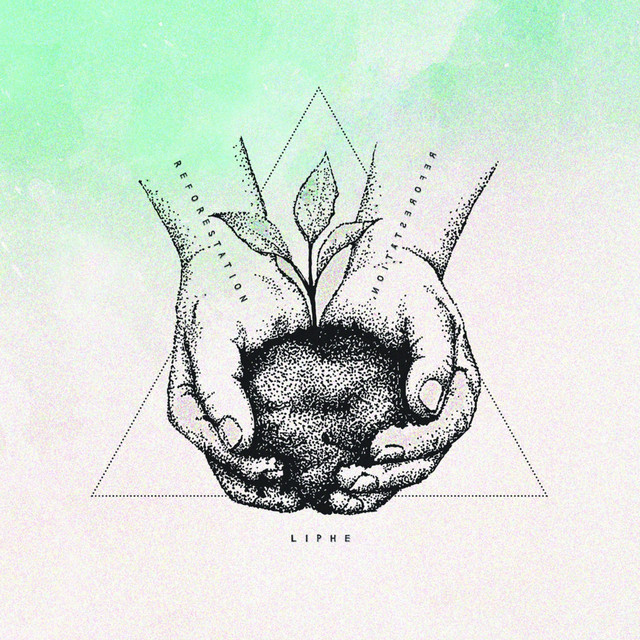 Reforestation album cover