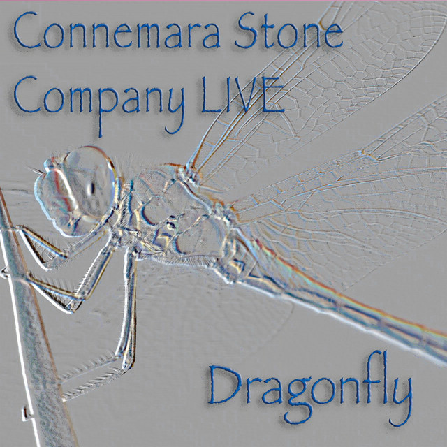 Dragonfly (Live) album cover