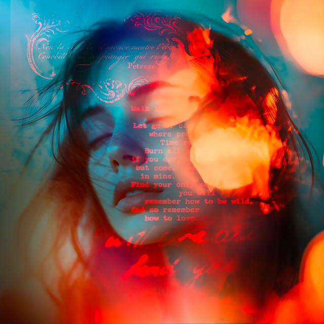 Delicate Stories 2 album cover