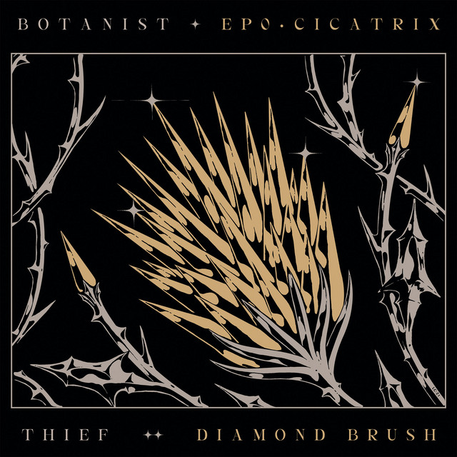 Cicatrix / Diamond Brush album cover