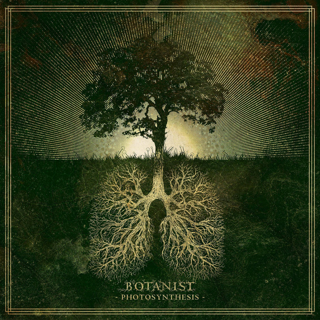 Photosynthesis album cover