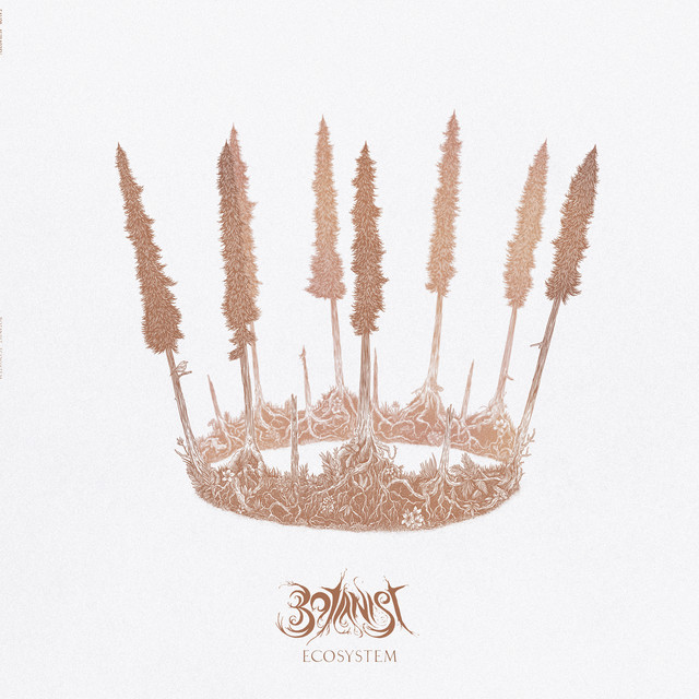Ecosystem album cover