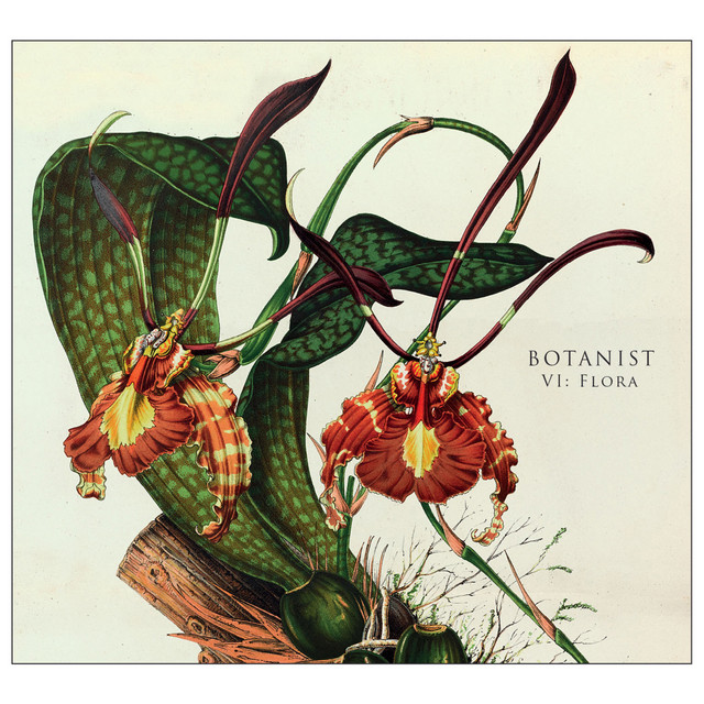 Vi: Flora album cover
