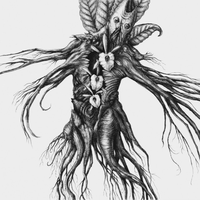 Iv: Mandragora album cover