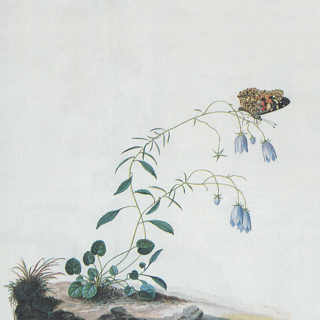 I: The Suicide Tree / II: A Rose From The Dead album cover