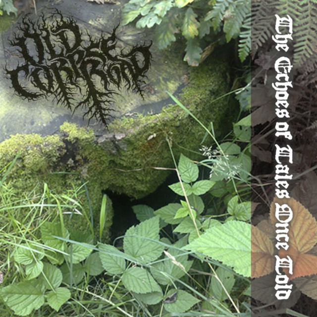 The Echoes of Tales Once Told album cover