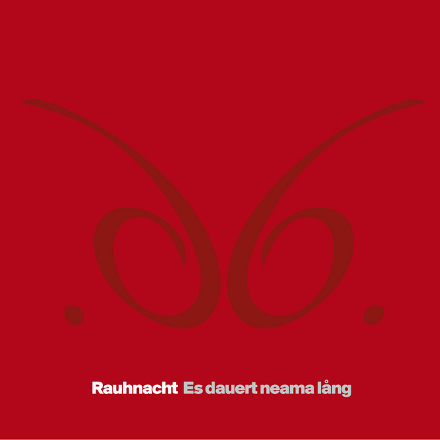 Es dauert neama lang album cover