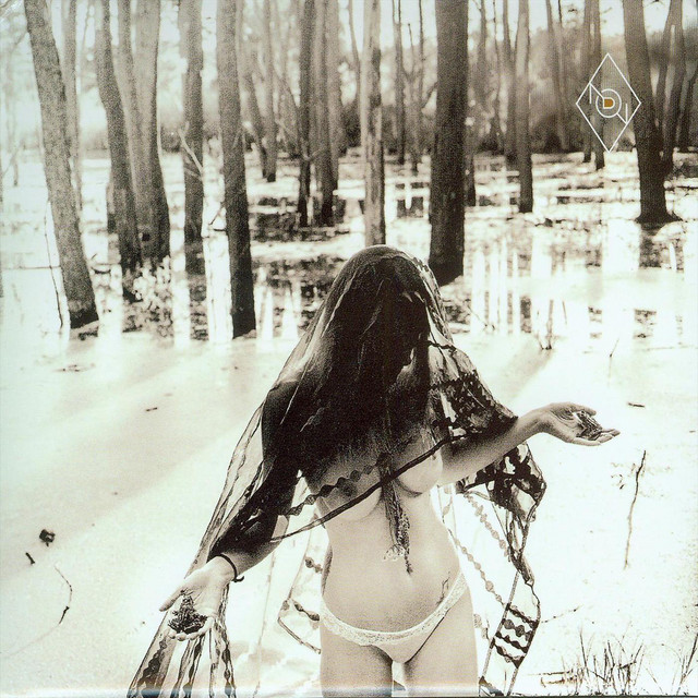 Diabel album cover