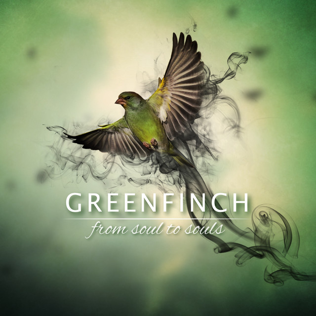 From Soul To Souls album cover