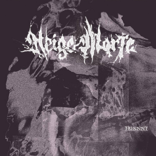 TRINNNT album cover