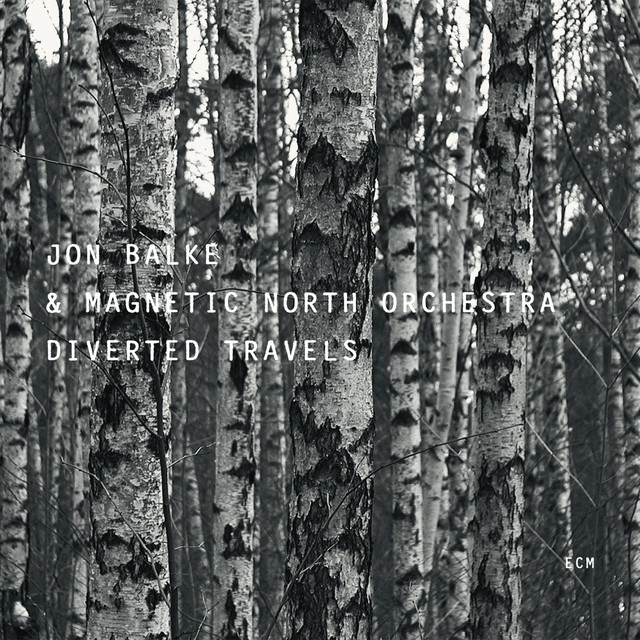 Diverted Travels album cover