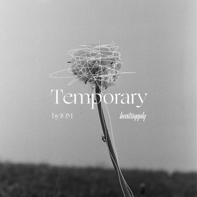 Temporary album cover