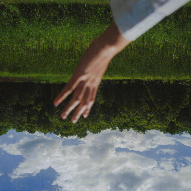 perfect days album cover