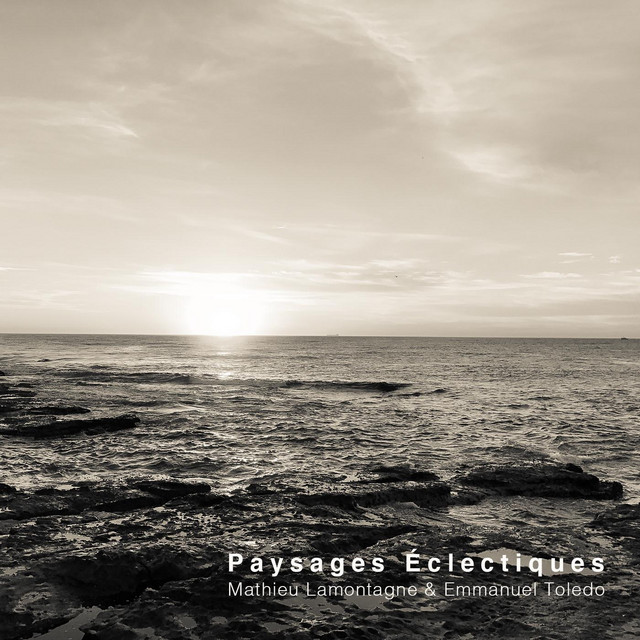 Paysages Éclectiques album cover