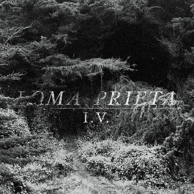 I.V. album cover