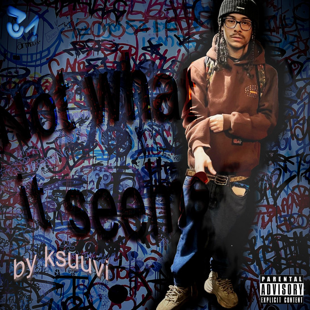 Not What it Seems album cover