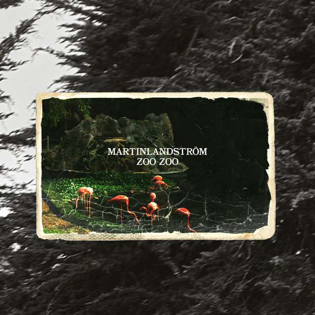 Zoo Zoo album cover