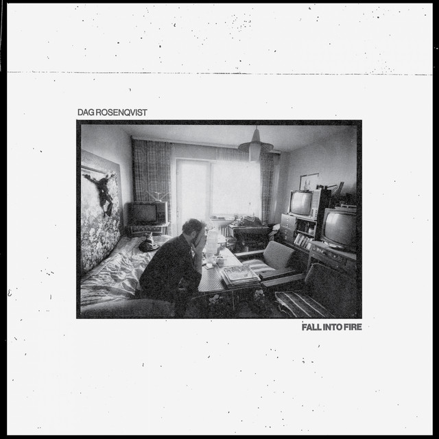 Fall into Fire album cover