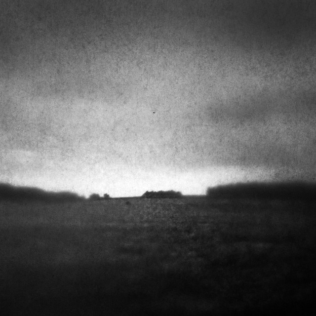 Fields album cover