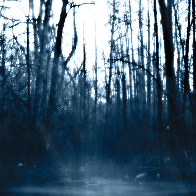 Still album cover