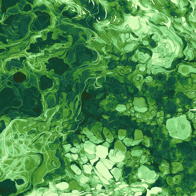Verdant: Green Noise Studies album cover