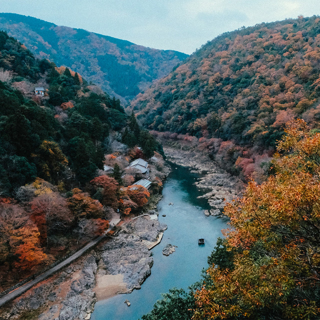Lost in Japan II album cover