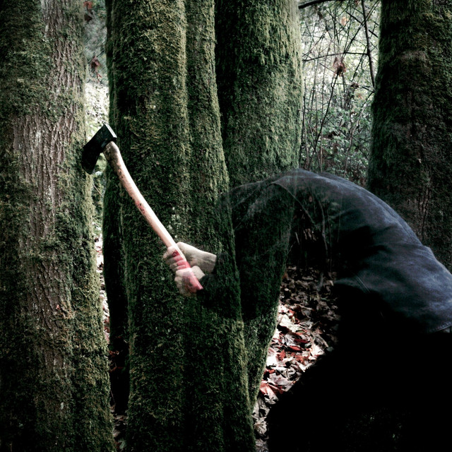 Bushcraft album cover