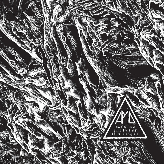Nothing Violates This Nature album cover