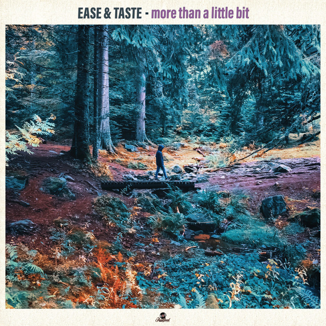 More Than A Little Bit album cover