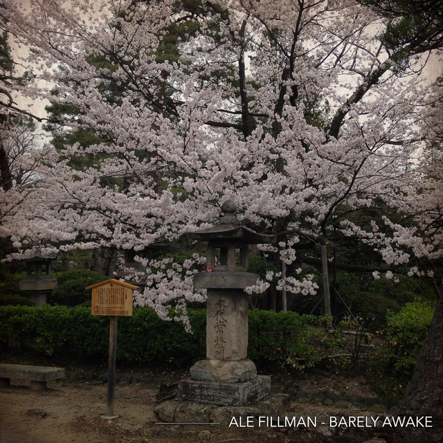 Barely Awake album cover