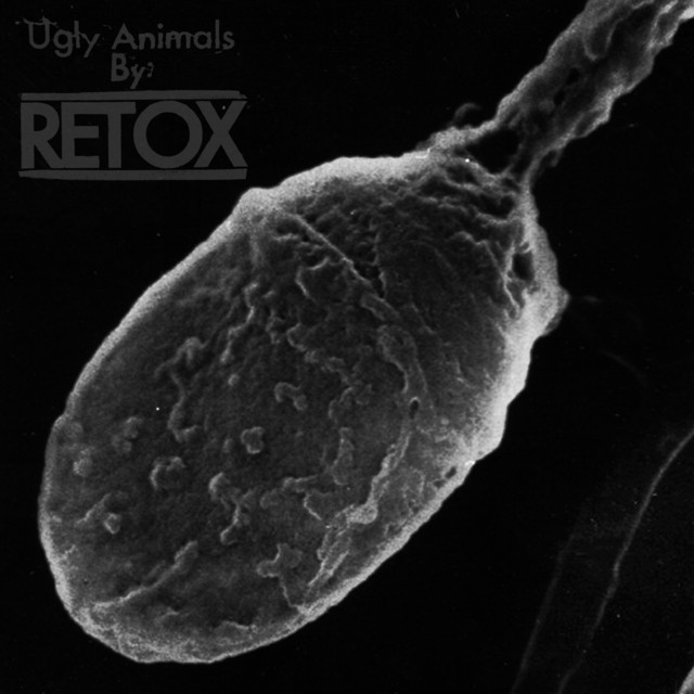 Ugly Animals album cover