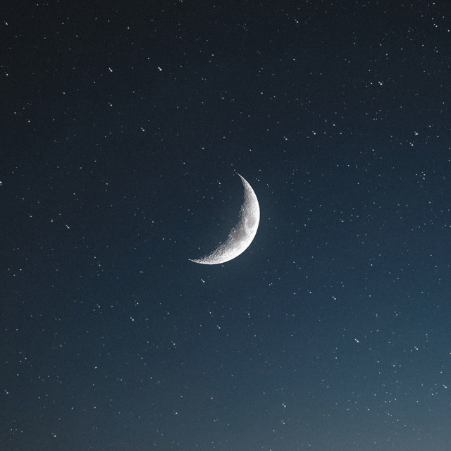 Bright Night