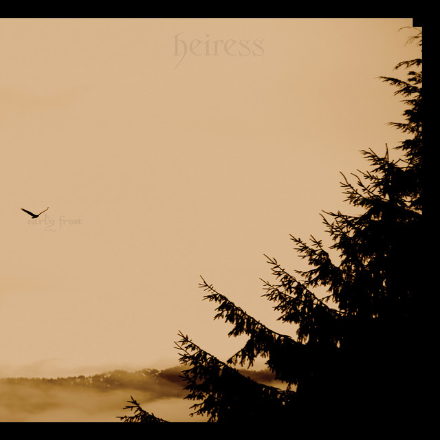 Early Frost album cover