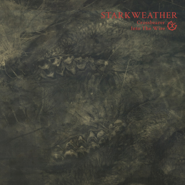 Crossbearer / Into the Wire (Reissue) album cover
