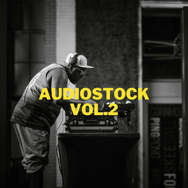 Audiostock, Vol. 2 album cover