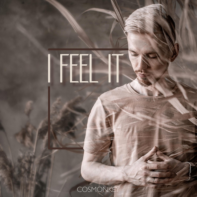 I Feel It album cover