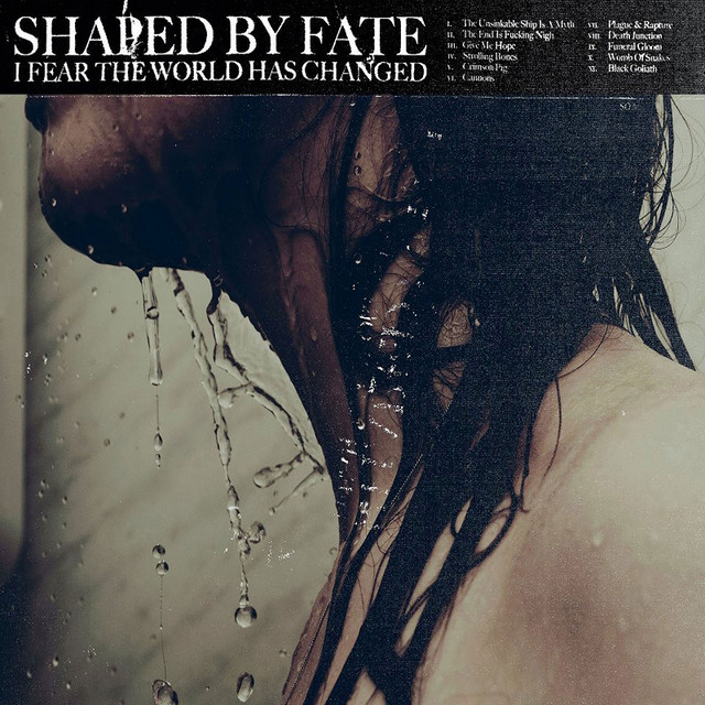 I Fear the World Has Changed album cover