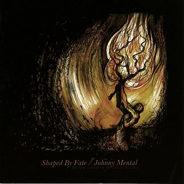 The Fire Which In The Heart Resides album cover