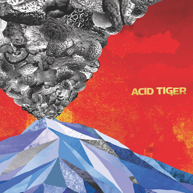 Acid Tiger album cover