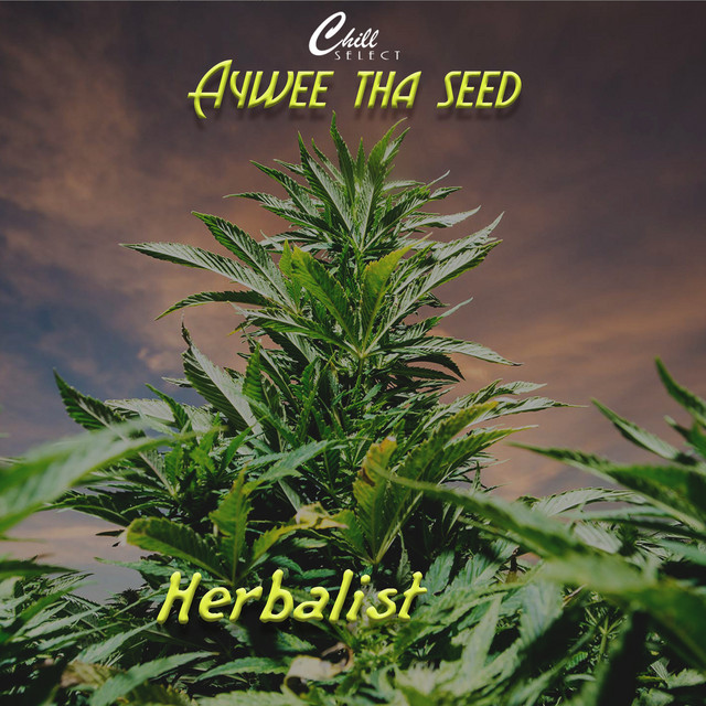 Herbalist album cover