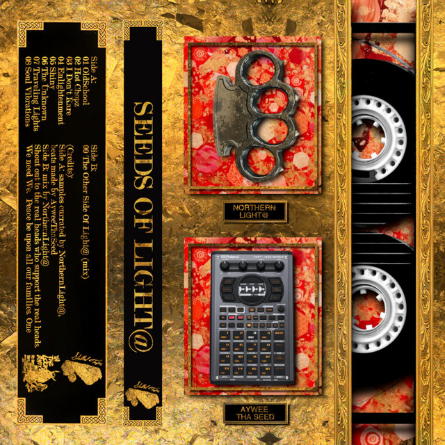 Seeds Of Light@ album cover