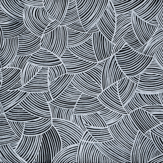 Elastic Borders album cover