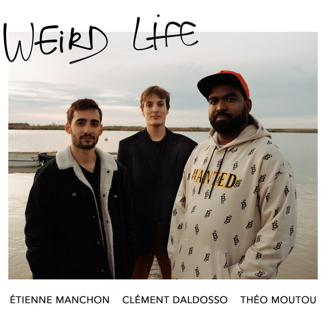 Weird Life album cover