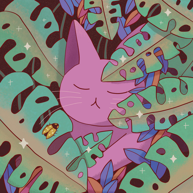 Cat Nap album cover